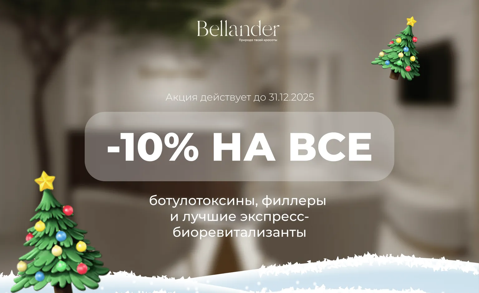 До Нового Года осталось -10%